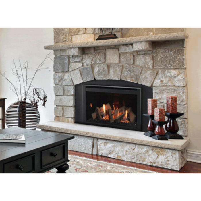 Majestic Ruby 30" Direct Vent Gas Fireplace Insert 32,700 BTU with IntelliFire Touch and High Efficiency Heat Output - Sun Kissed Yards 