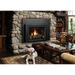 Kingsman 26" (Capella) Direct Vent Gas Fireplace Insert – Natural Gas & Propane with Millivolt or Proflame 2 IPI Systems Options - Sun Kissed Yards 