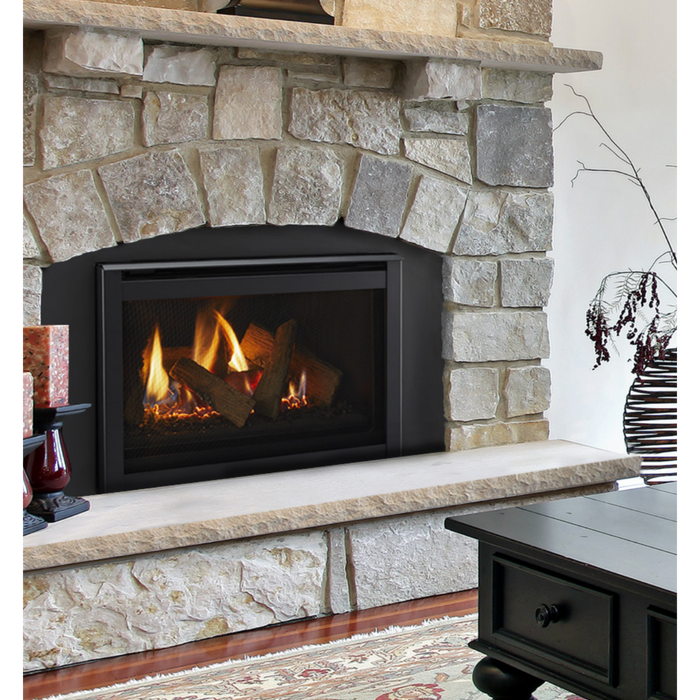 Majestic Ruby 25" Direct Vent Gas Fireplace Insert 27,000 BTU with IntelliFire Touch and Ceramic Glass - Sun Kissed Yards 